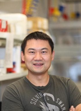 Ting Wang, PhD